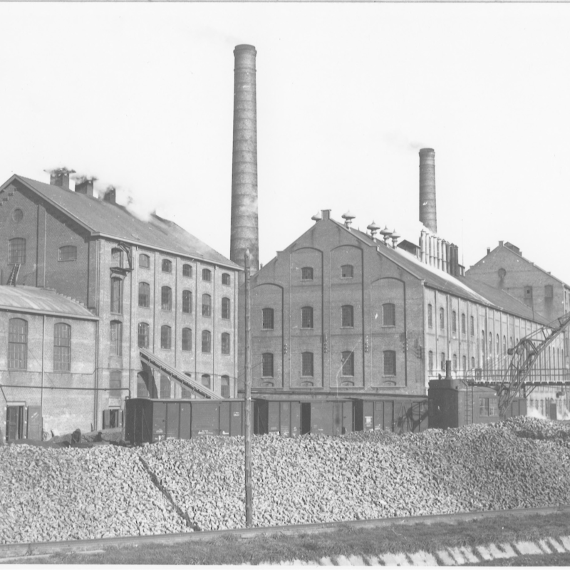 Pulpdrogerij Noord-Nederlandsche Beetwortelsuikerfabriek