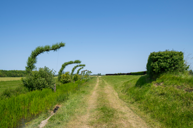 Stadsmarkering S07 // Zonder Titel