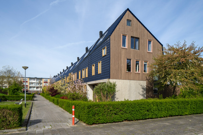 Zirkoon