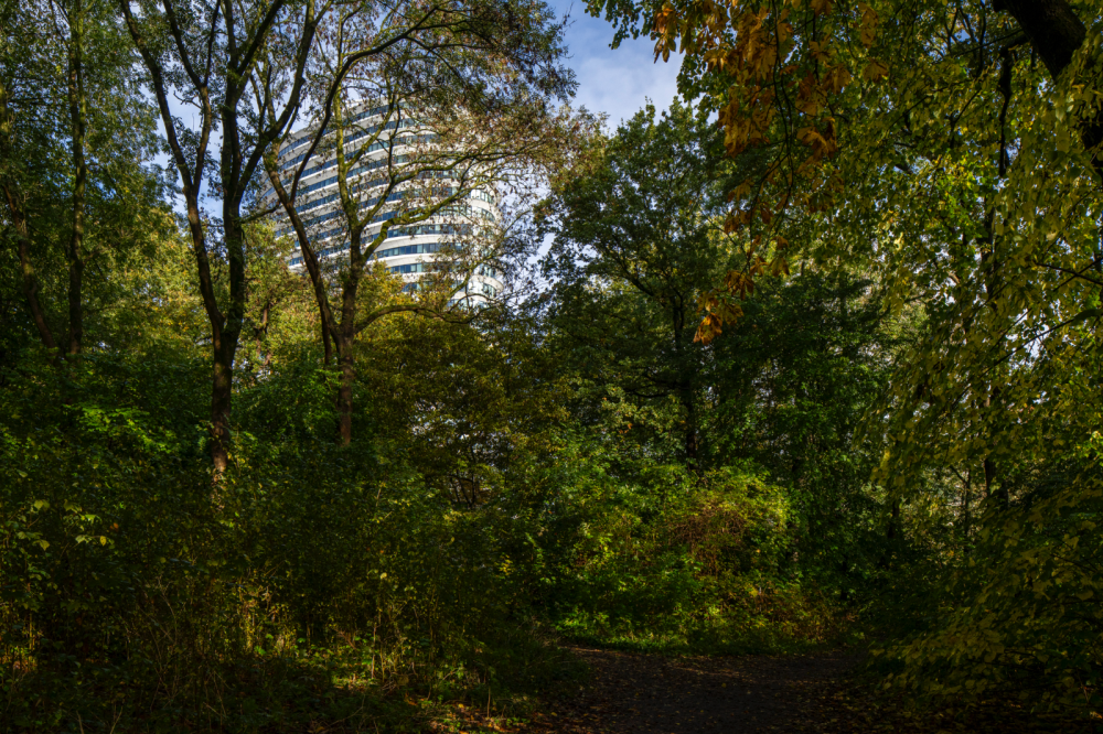 DUO en Belastingdienst