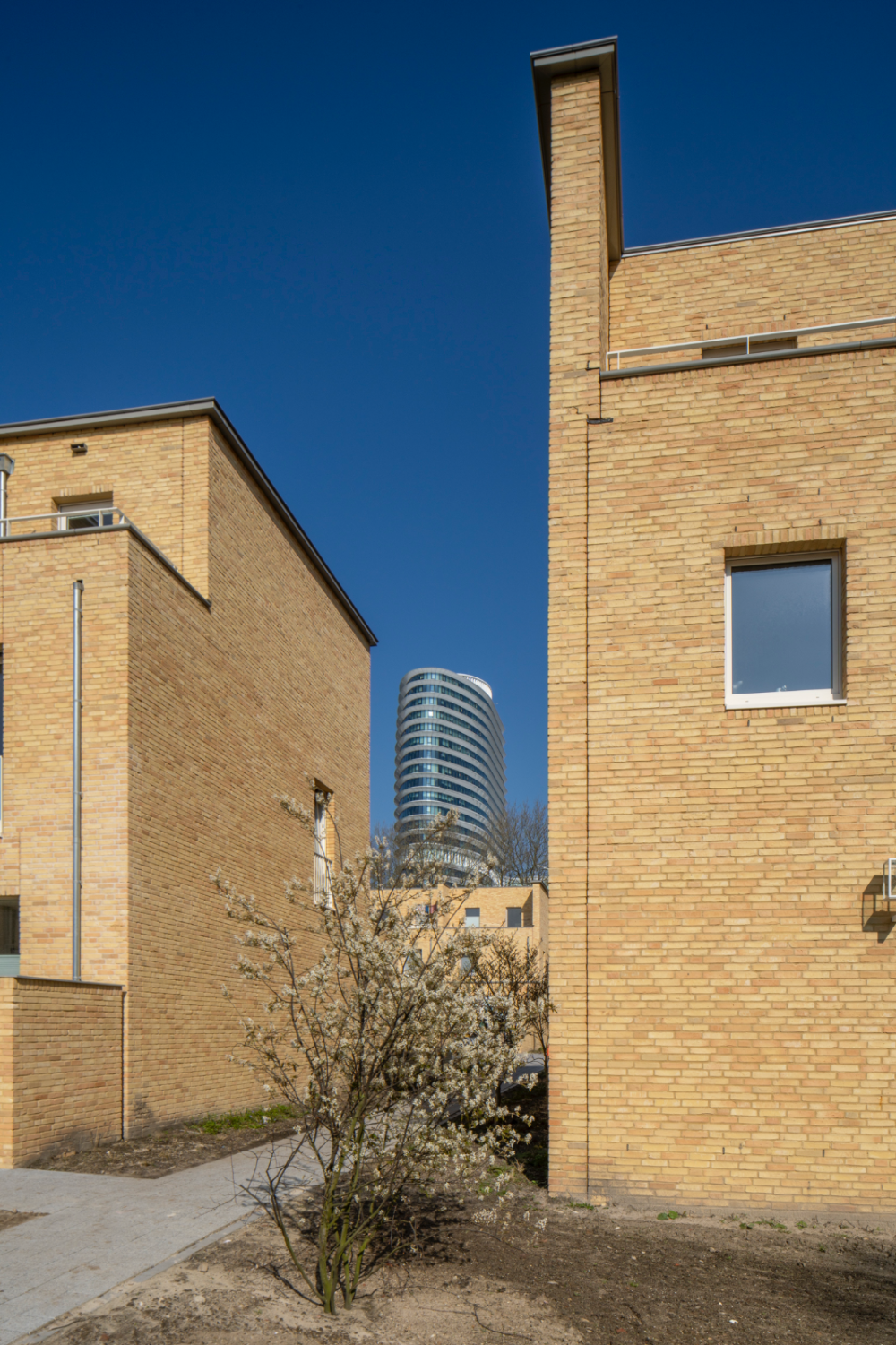 DUO en Belastingdienst