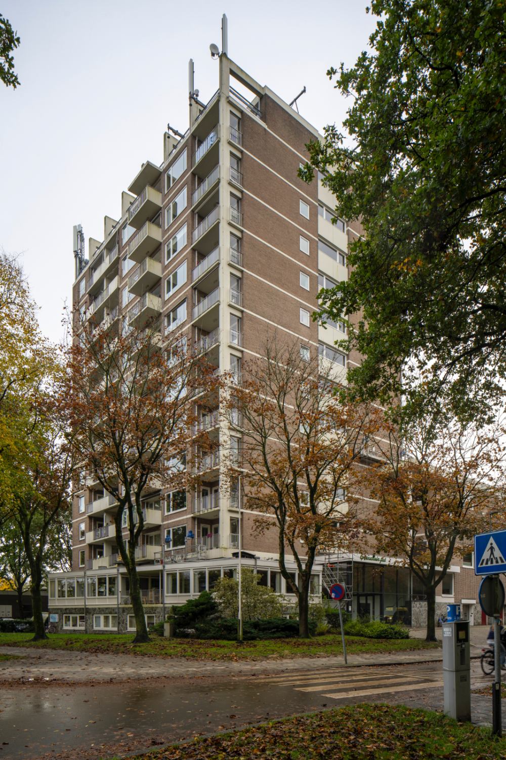 Groenesteinflat
