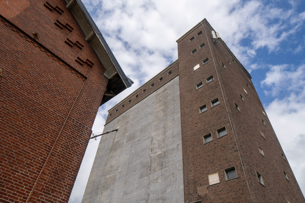 Noord-Nederlandse Oliefabriek