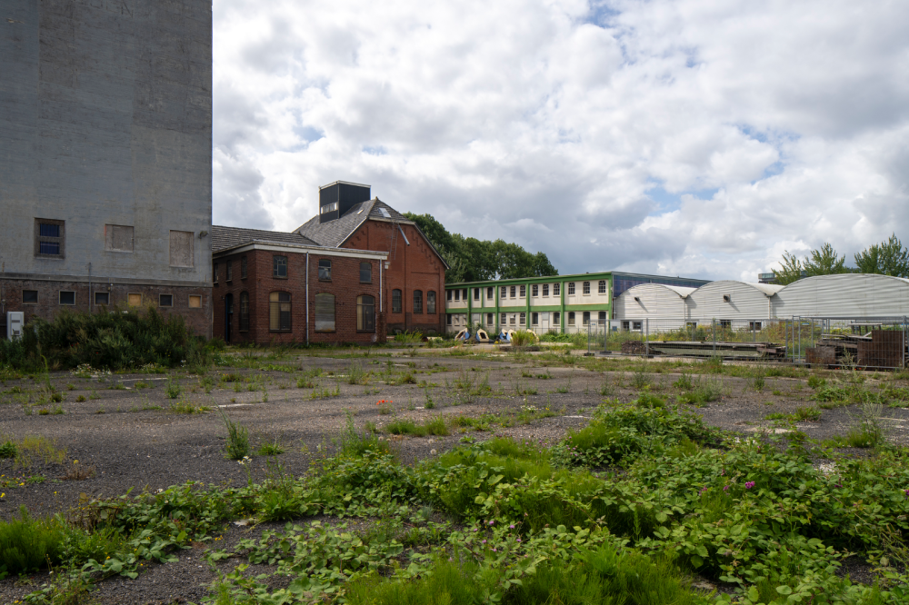 Noord-Nederlandse Oliefabriek