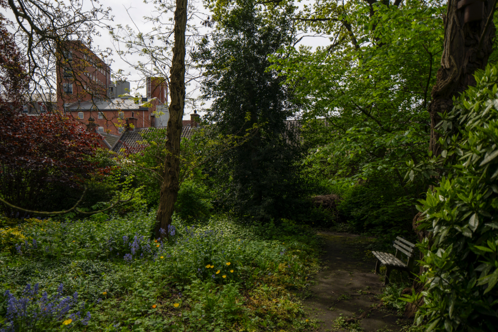 Pieternella Gasthuis