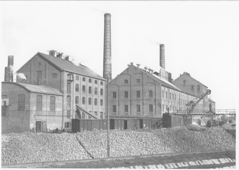 Pulpdrogerij Noord-Nederlandsche Beetwortelsuikerfabriek