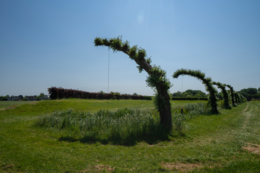 Stadsmarkering S07 Zonder Titel