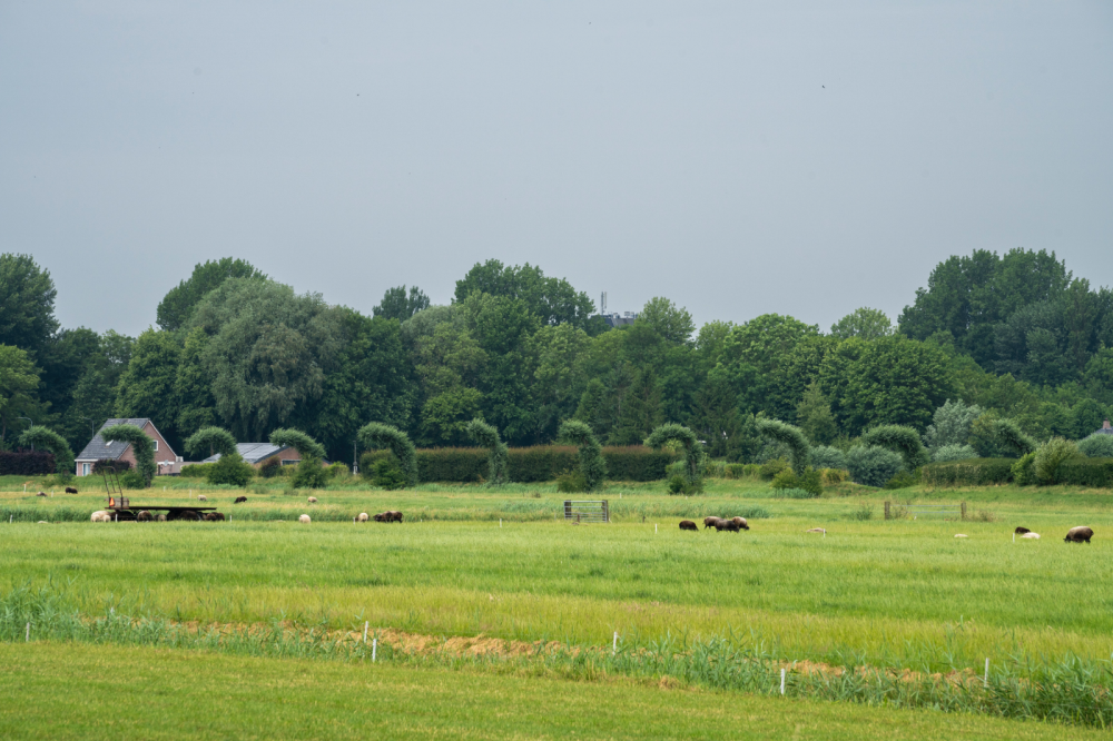 Stadsmarkering S07 Zonder Titel