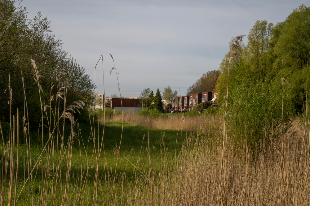 Terraswoningen Het Roege Pad