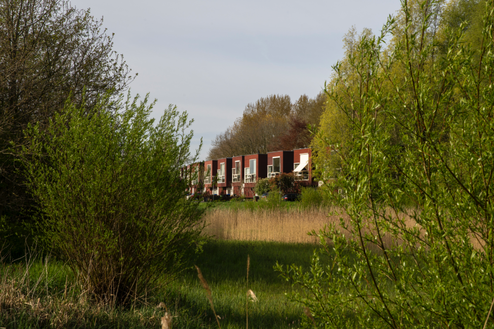 Terraswoningen Het Roege Pad